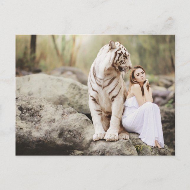 The Lady and the Tiger  -- Postcard (Front)