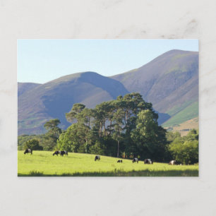 The Lake District-Keswick Postcard