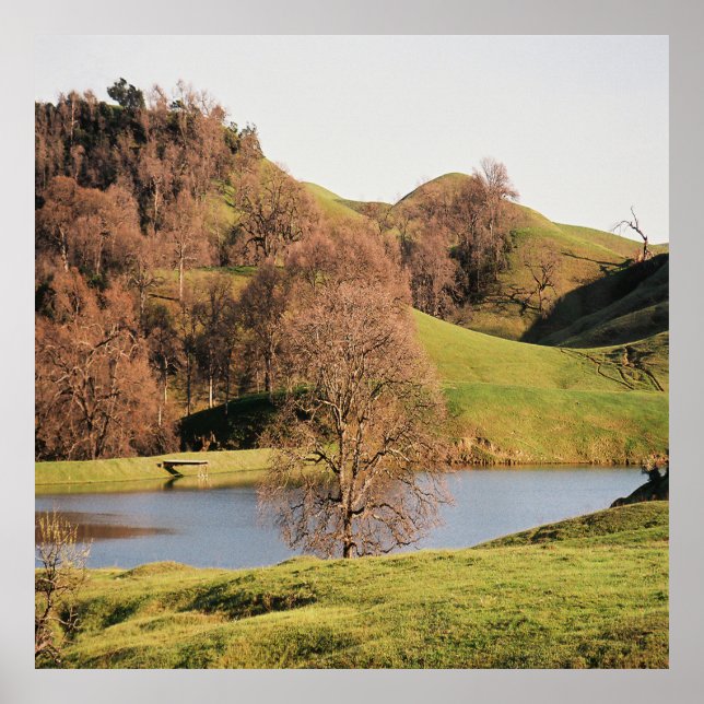 The Lake...... Poster (Front)