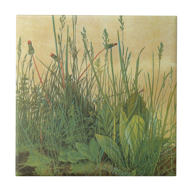 The Large (Great) Piece of Turf by Albrecht Durer Tile (Front)