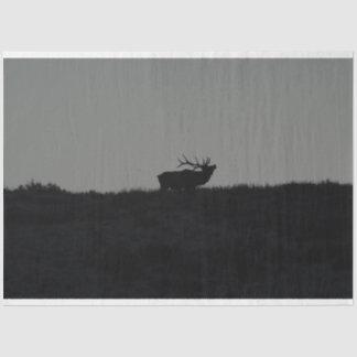 The Last Bugle Tissue Paper