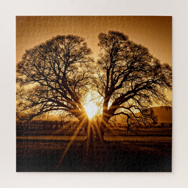 The Last Burst of Sunset - 20x20 - 676 pcs. Jigsaw Puzzle (Vertical)