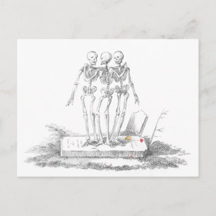 The Last of the Graces Postcard