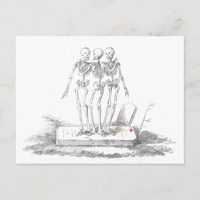The Last of the Graces Postcard (Front)