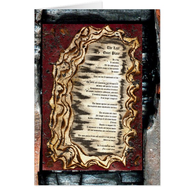 The Last Quiet Place (Front)