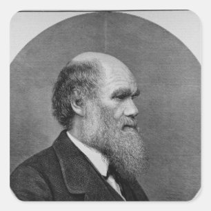 The Late Mr C. R. Darwin, FRS, LLD Square Sticker