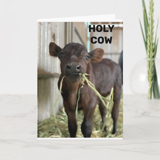 THE LATEST MOOS IS THAT YOU ARE ***50*** CARD (Front)