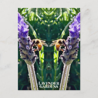 The Lavender & The Bee Postcard