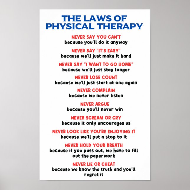 The Laws of Physical Therapy - Funny Motivational  Poster (Front)
