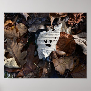 The Leaf With a Face Poster