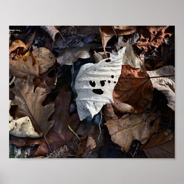 The Leaf With a Face Poster (Front)