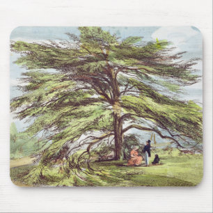 The Lebanon Cedar Tree in the Arboretum, Kew Garde Mouse Pad