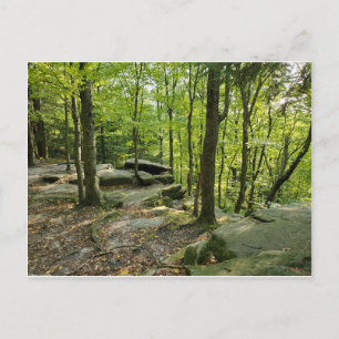 The ledges, Cuyahoga National Park Postcard