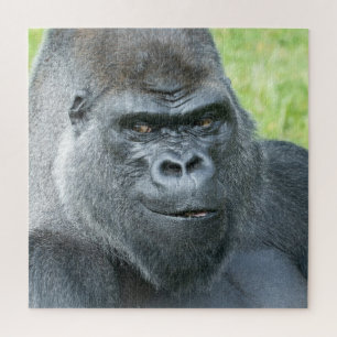 The Legendary Side Glance of a Siverback Jigsaw Puzzle