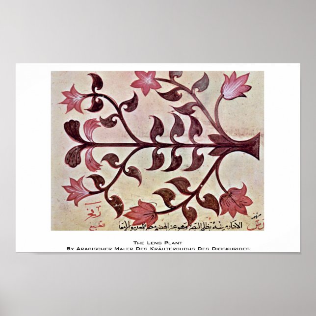 The Lens Plant Poster (Front)