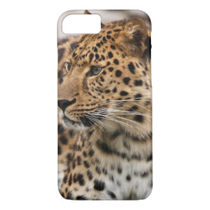 The Leopard iPhone 8/7 Case