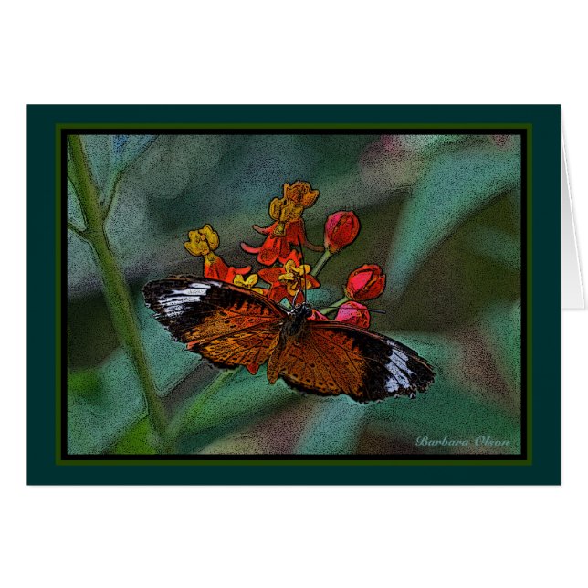 The Leopard Lacewing (Cethosia cyane) Butterfly (Front Horizontal)
