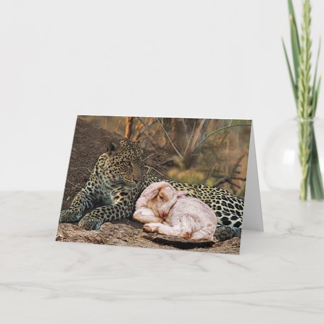 The leopard shall lie down with the lamb-Isaiah 11 Card (Front)