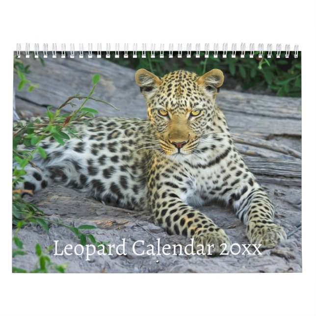 The Leopard Wild Animal Calendar (Cover)