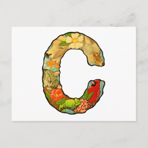 The Letter C Postcard
