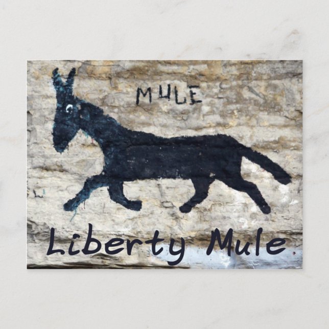 The Liberty Mule - Liberty, TN Postcard (Front)