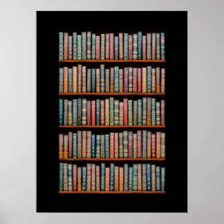 The Library Poster