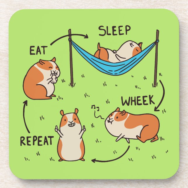 The life cycle of a Guinea Pig Coaster (Front)