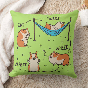The life cycle of a Guinea Pig Cushion