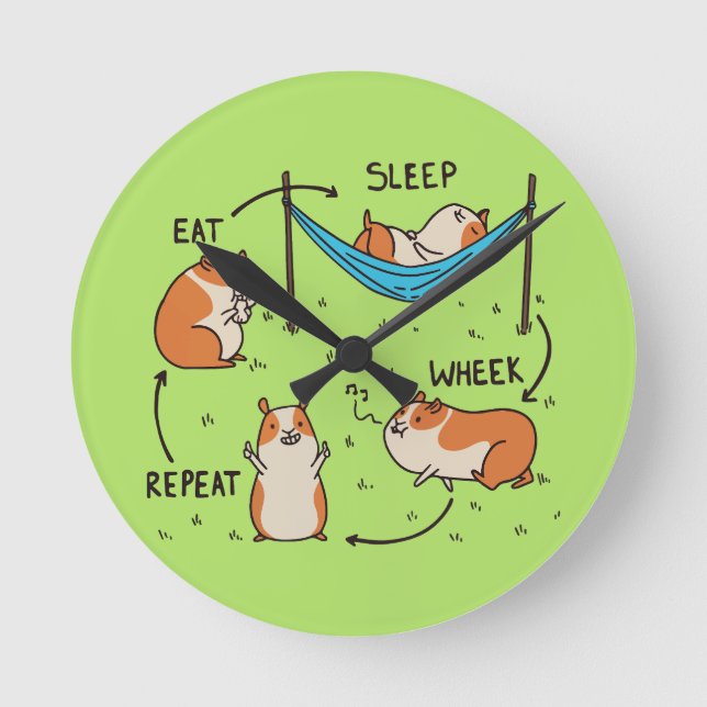 The life cycle of a Guinea Pig Round Clock (Front)