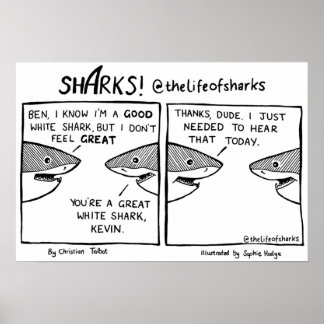 The Life of Sharks  Great White Shark Poster