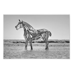 The Lifeboat Horse, Wells-next-the-Sea Photo Print