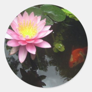 The Lily and The Goldfish Classic Round Sticker