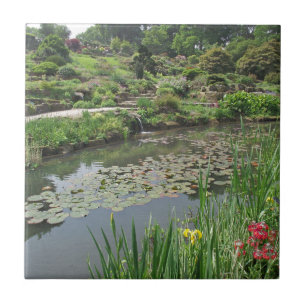 The Lily Pond at RHS Wisley Tile