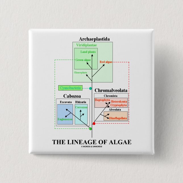 The Lineage Of Algae 15 Cm Square Badge (Front)
