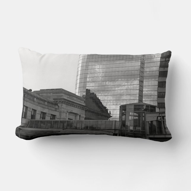 The Link Lumbar Cushion (Front)