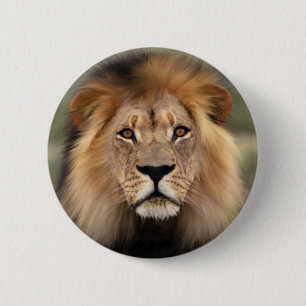 The Lion 6 Cm Round Badge