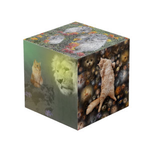 The Lion And The Cat, Plus Friends, Photo Cube