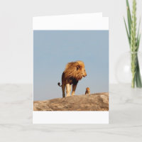 The Lion King ( Adult Lion and Cub)
