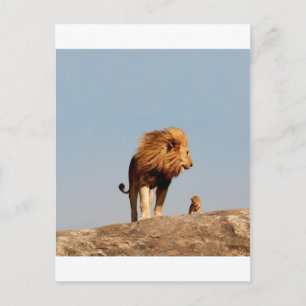 The Lion King ( Adult Lion and Cub) Postcard