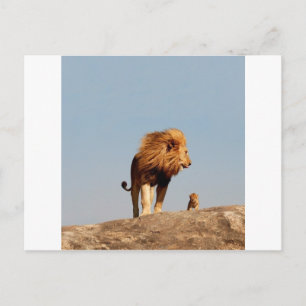 The Lion King ( Adult Lion and Cub) Postcard