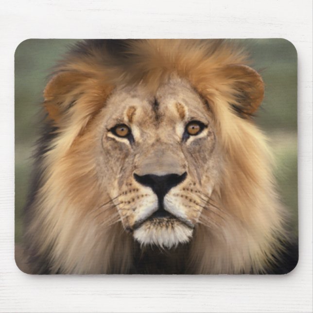 The Lion Mouse Pad (Front)