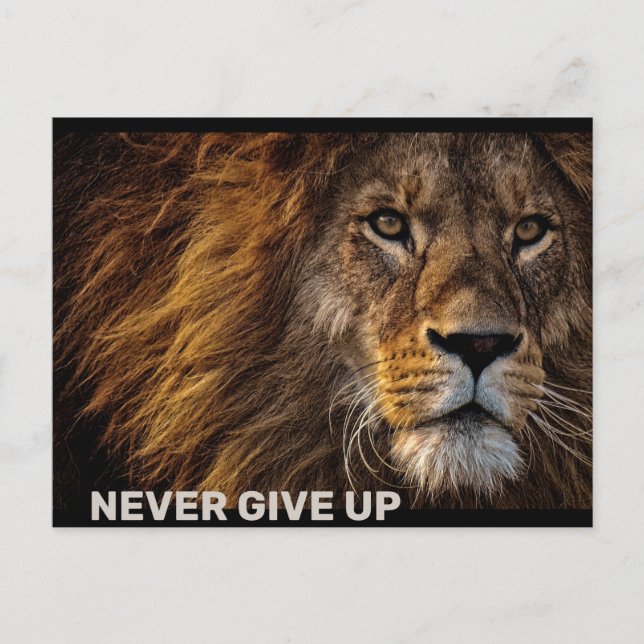 The Lion - Never Give Up Postcard (Front)