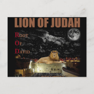 The Lion Of Judah On The Western Wall Postcard