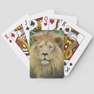 The Lion Playing Cards