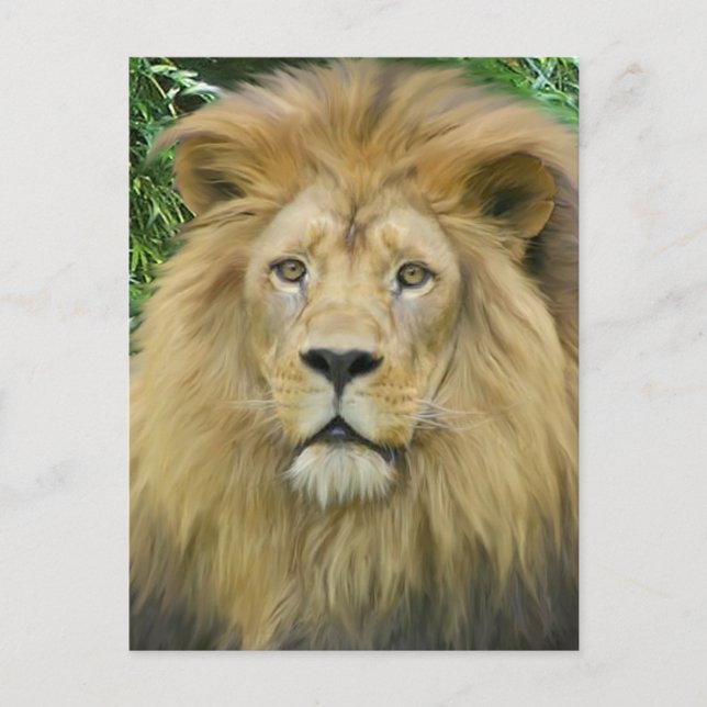 The Lion Postcard (Front)