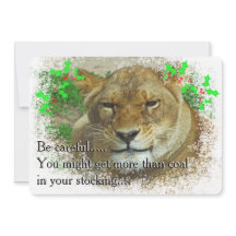 The Lioness Christmas