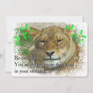The Lioness Christmas Holiday Card