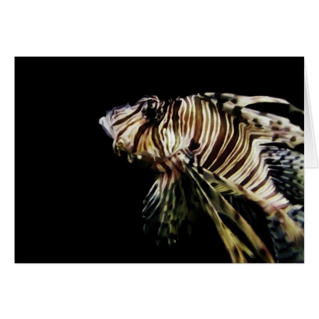 The Lionfish (Front Horizontal)