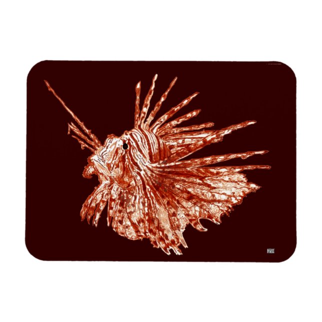 The Lionfish Magnet (Horizontal)