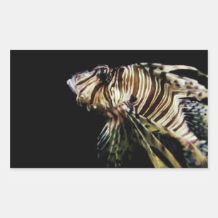 The Lionfish Rectangular Sticker